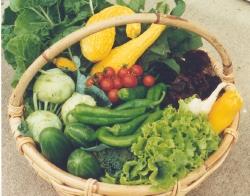 Basket of vegetables